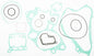 Complete Gasket Kit Suz