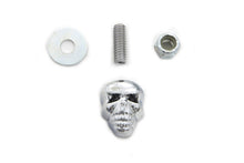 Load image into Gallery viewer, Chrome Deco Skull