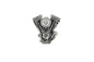 Evolution Lapel Pin