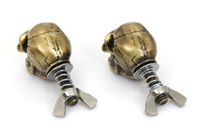Load image into Gallery viewer, Gold Skull License Plate Bolt Set