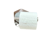 Chrome Toilet Paper Holder Kit