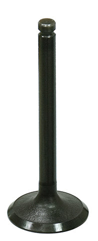 Intake Valve