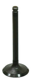 Intake Valve