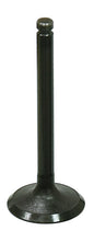 Intake Valve