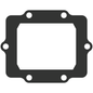 Vforce3 Gasket