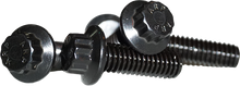 Load image into Gallery viewer, 12 Point Front Rotor Bolts Black  5/16 18x1