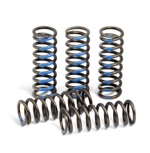 Load image into Gallery viewer, Clutch Springs