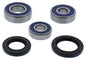Wheel Bearing & Seal Kit