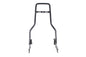 One Piece Sissy Bar Black