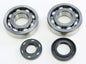 Crankshaft Bearing & Seal Kit Kaw