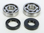 Crankshaft Bearing & Seal Kit Yam