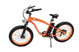 E-Bike 36 Volt 750 Watt