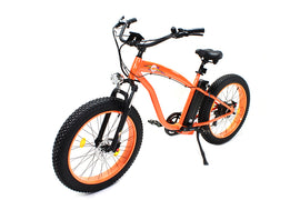E-Bike 36 Volt 750 Watt