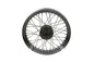 19 inch x 2.50 inch Front Spoke Wheel
