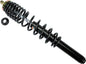 Gas Shock Front