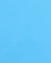 Load image into Gallery viewer, Cab Asylum Cage W/V Intrusion Sky Blue