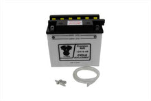 Load image into Gallery viewer, 12 Volt 16 Amp Battery