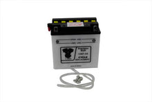 Load image into Gallery viewer, Battery 12 Volt