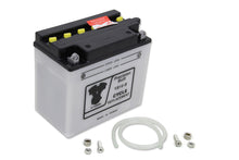Load image into Gallery viewer, 12 Volt Battery Dry