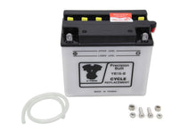 Load image into Gallery viewer, 12 Volt Battery Dry