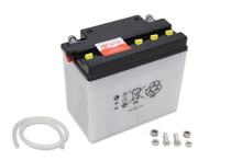 Load image into Gallery viewer, 12 Volt Battery Dry