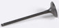 Intake Valve