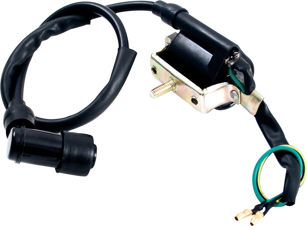 Ignition Coil 4 Stroke 50 150cc W/Mounting Bracket