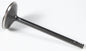 Black Diamond Intake Valve Diamond Xl 04 14