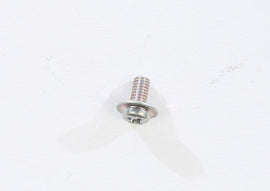 Screw
