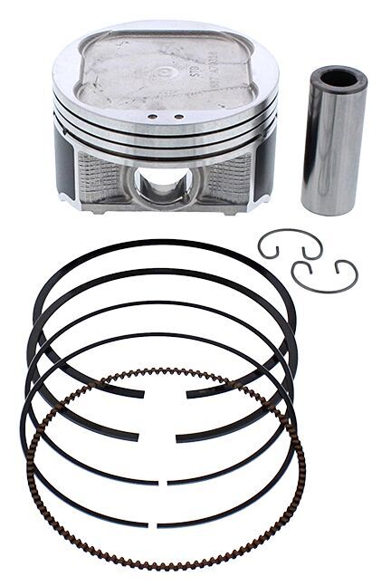 Piston Kit Cast 91.98/Std 10.2:1 Pol