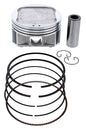 Piston Kit Cast 91.98/Std 10.2:1 Pol