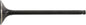 Exhaust Valve Titanium
