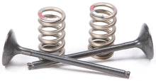 Load image into Gallery viewer, Exhaust Valve Conversion Set Ti Steel Yam