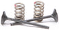 Exhaust Valve Conversion Set Ti Steel Yam
