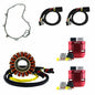 Stator+Regulator
