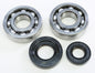 Crankshaft Bearing & Seal Kit Yam