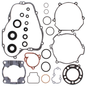 Complete Gasket Set With Oil Seals