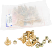 Load image into Gallery viewer, Gold Digger Carbide Traction Master Stud .875" 24/Pk