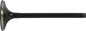 Exhaust Valve Steel