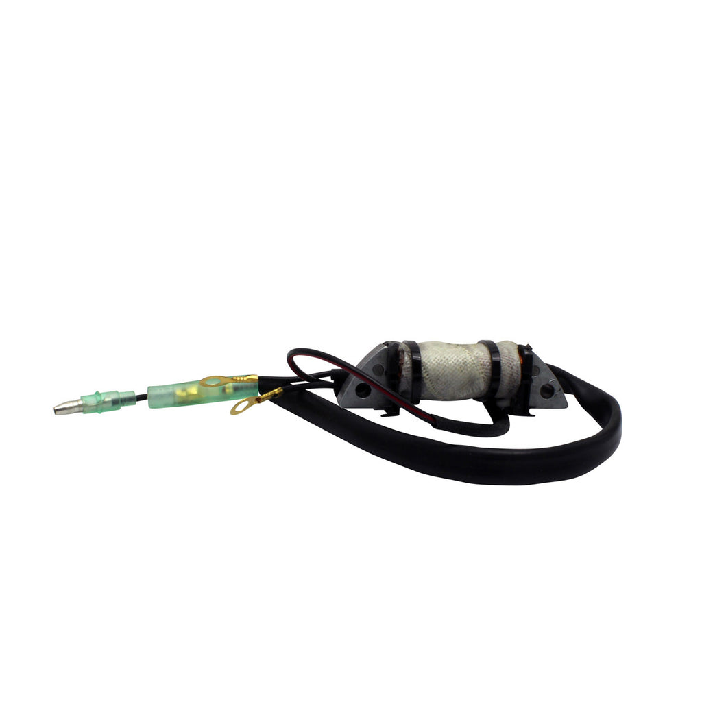 Stator Source Coil