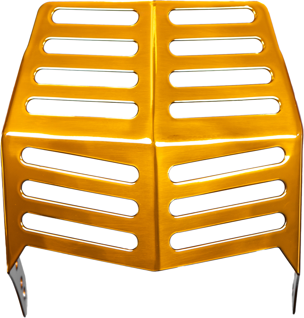 Hockey Mask Gold Softail