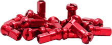 Load image into Gallery viewer, Spoke Nipples Red