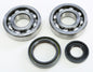 Crankshaft Bearing & Seal Kit Yam