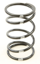 Load image into Gallery viewer, H5 Secondary Springs Black/Grey
