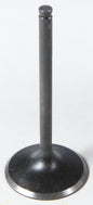 Intake Valve