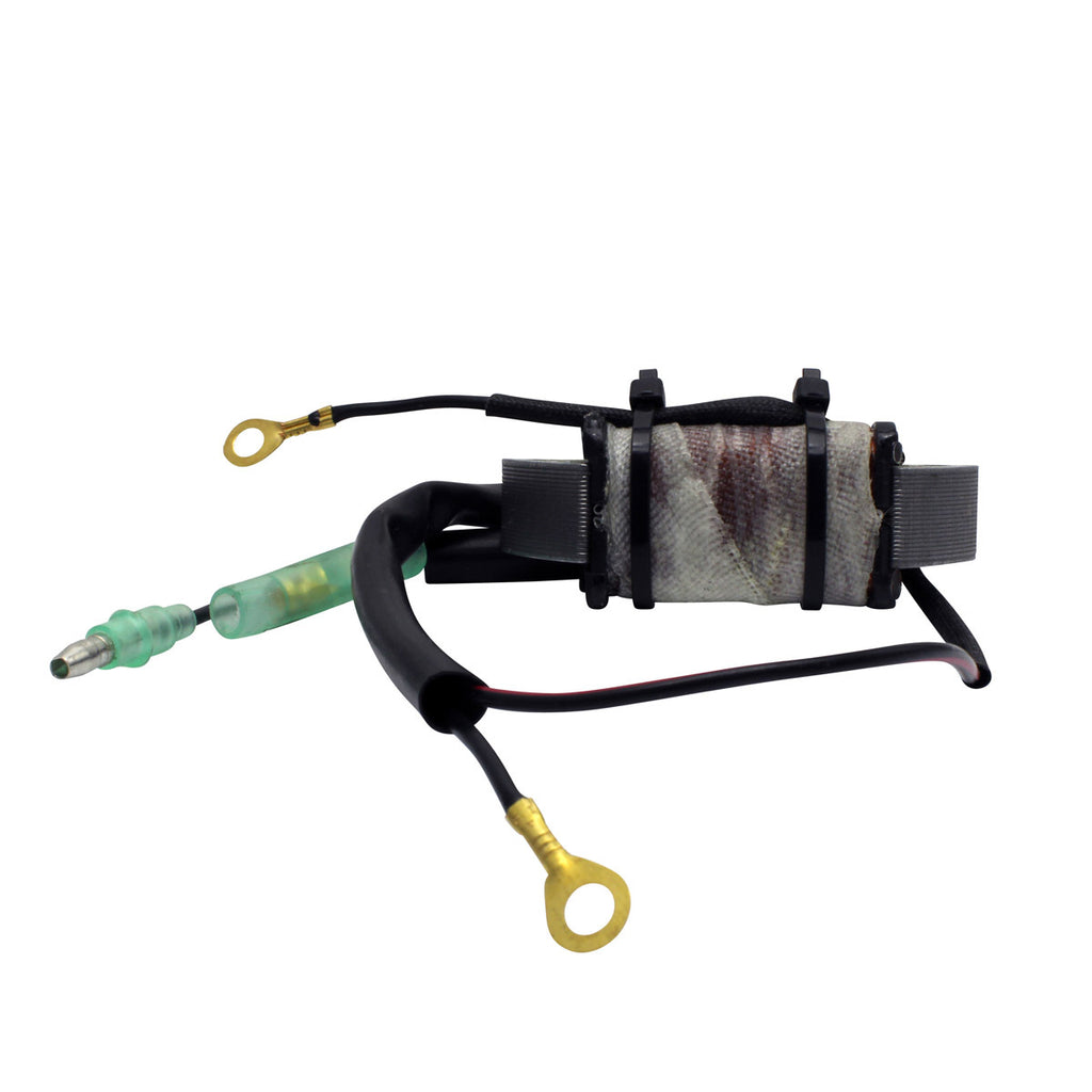 Stator Source Coil