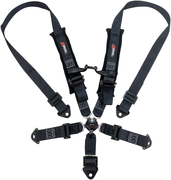 2" 5 Point Cam Lock Harness