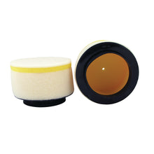Load image into Gallery viewer, Premium Air Filter Hon Atc 250es