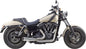 Comp S 2 1 Dyna Brushed W/Cf Endcap