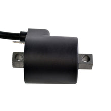 Load image into Gallery viewer, External Ignition Coil